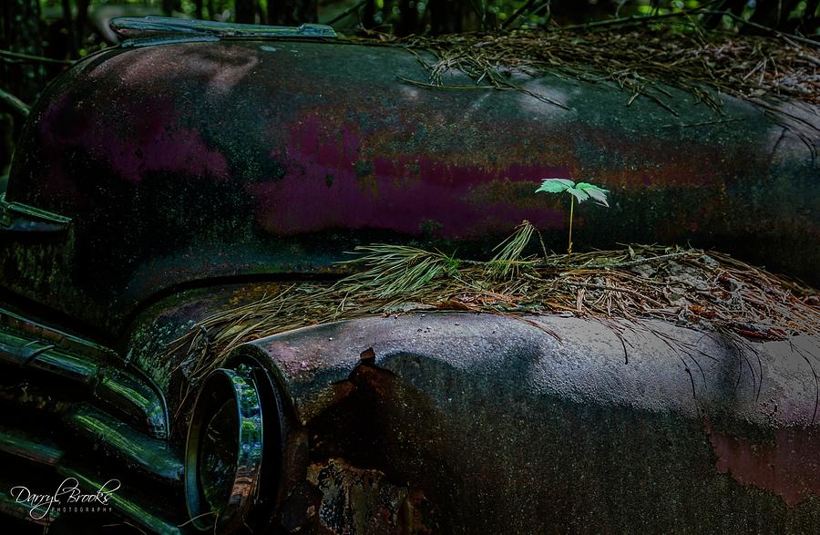 2022 Rising from the Rusted Carcass of 2021 Photograph by Darryl Brooks