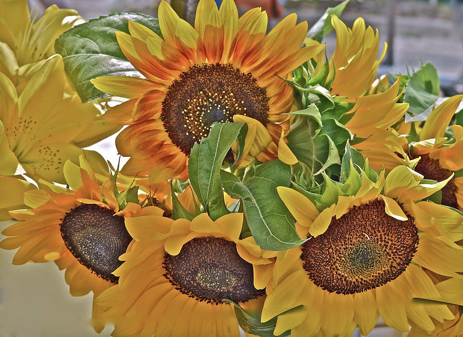 2022 Summer Market Sunflowers Photograph by Janis Senungetuk