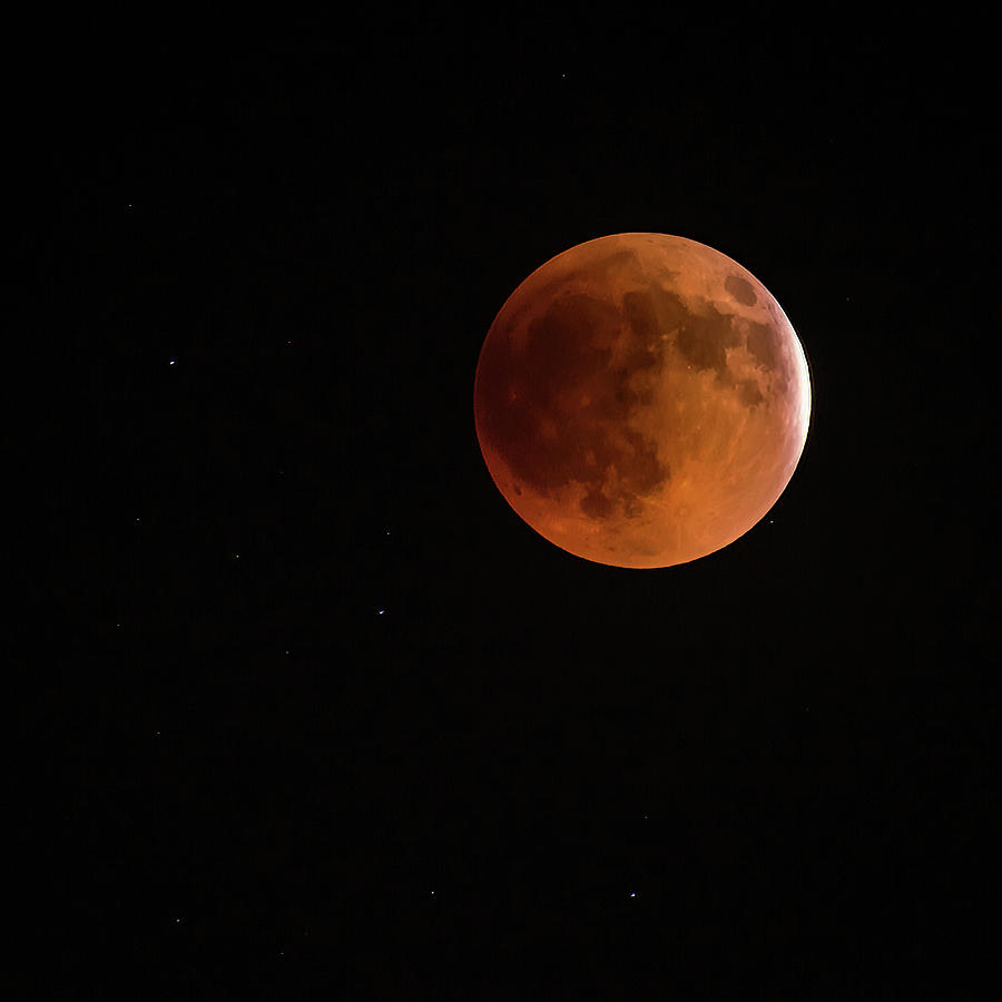 2022 Super Flower Blood Moon Lunar Eclipse Square Photograph by Terry DeLuco