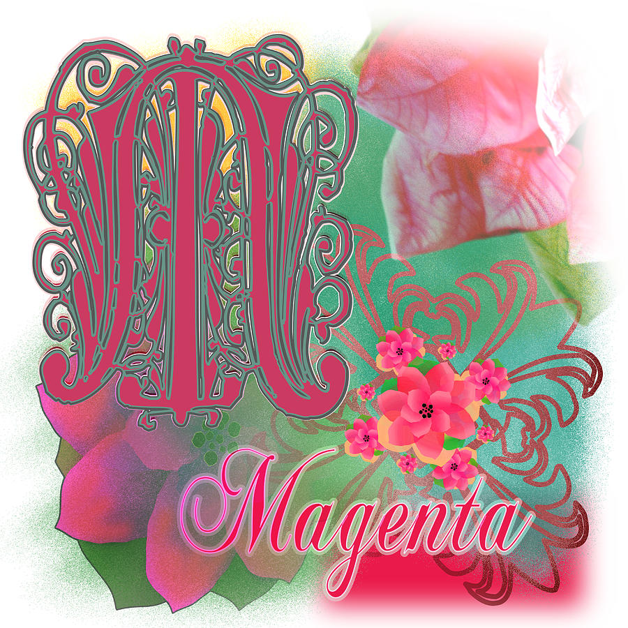 2023 Magenta Collage Color of the Year Digital Art by Delynn Addams