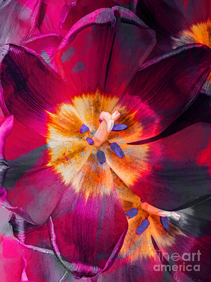 2025 Digital Floral Digital Art by Laura L Leatherwood 2025 Digital Floral Digital Art by Laura L Leatherwood