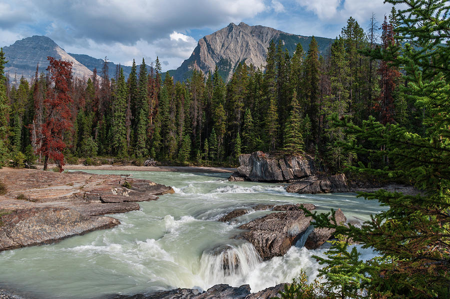 2.0677  Kicking Horse River #20677 Photograph by Stephen Parker
