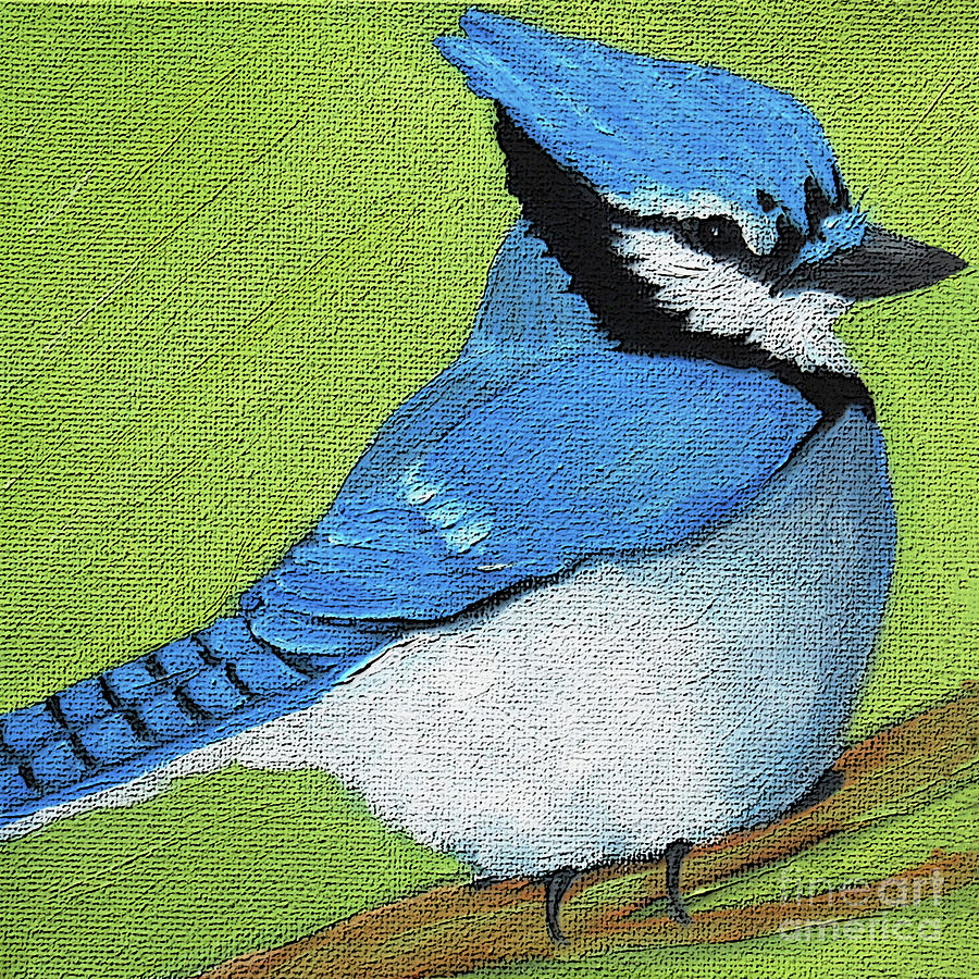 21 Blue Jay Painting by Victoria Page