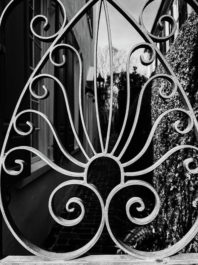 Charleston Wrought Iron Garden Gate in Detail, South Carolina #21 Photograph by Dawna Moore Photography