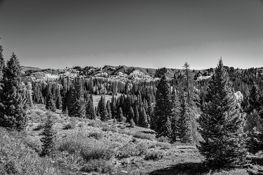 Cumbres And Toltec Narrow Gauge Railroad Photograph By Gestalt Imagery 