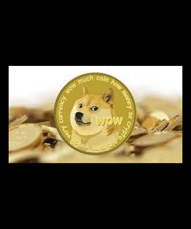crypto currency doge