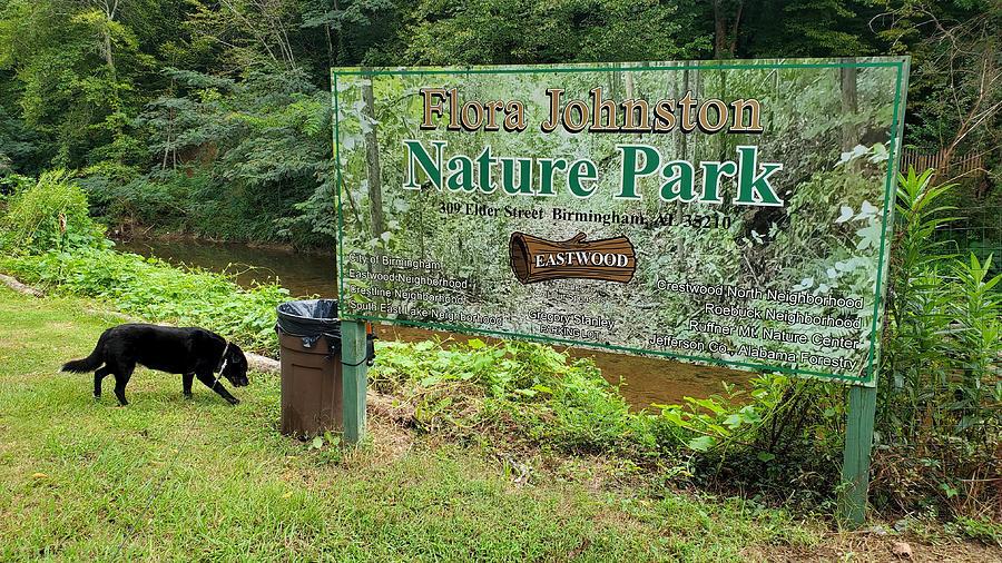 Flora Johnson Nature Park #21 Photograph by Kenny Glover