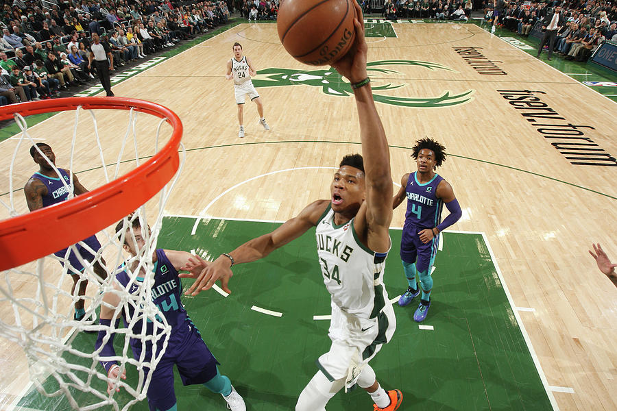 Giannis Antetokounmpo #21 Photograph by Gary Dineen
