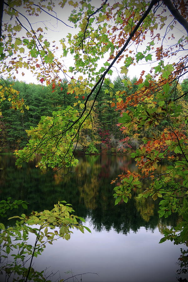 Hope Lake, Shelton CT Photograph by Thomas Henthorn Fine Art America