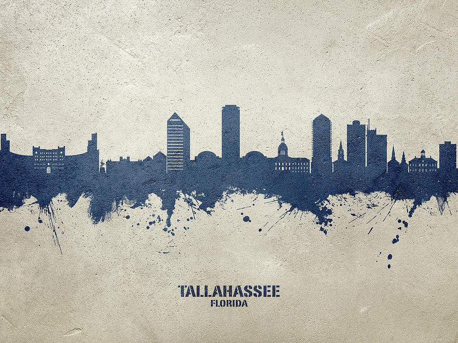 Tallahassee Digital Art - Tallahassee Florida Skyline #21 by Michael Tompsett