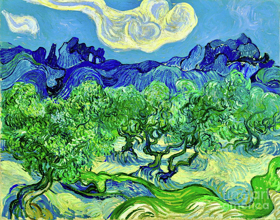 Vincent Van Gogh Painting - The Olive Trees #8 by Vincent Van Gogh