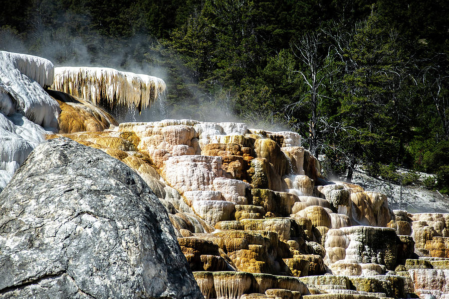 Travertine Terraces, Mammoth Hot Springs, Yellowstone #21 Photograph by Alex Grichenko