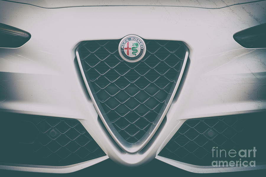 Alfa Romeo Badge Of Honor Photograph
