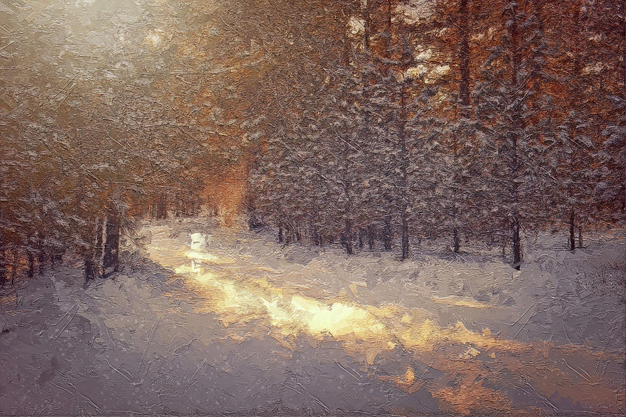 Winter Story #216 Digital Art by TintoDesigns