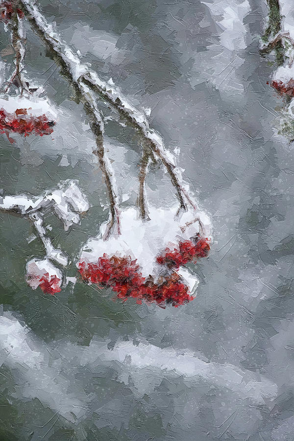 Winter Story #219 Digital Art by TintoDesigns