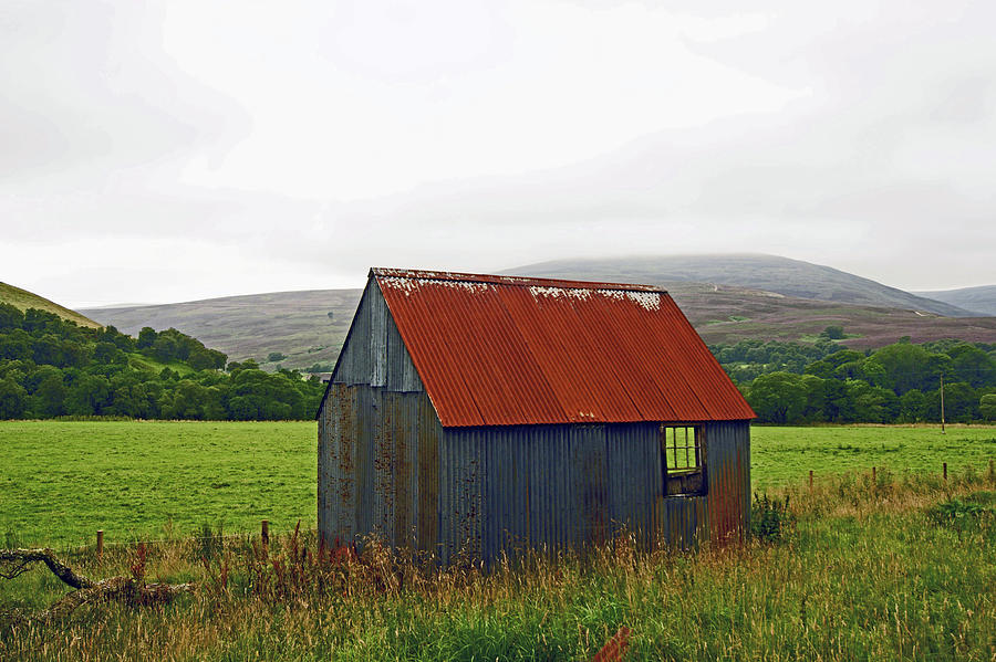 SCOTLAND. Aviemore. Old Shed In The Glen. Photograph by Lachlan Main