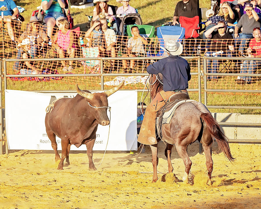 Culpeper Rodeo #22 Photograph by Travis Rogers