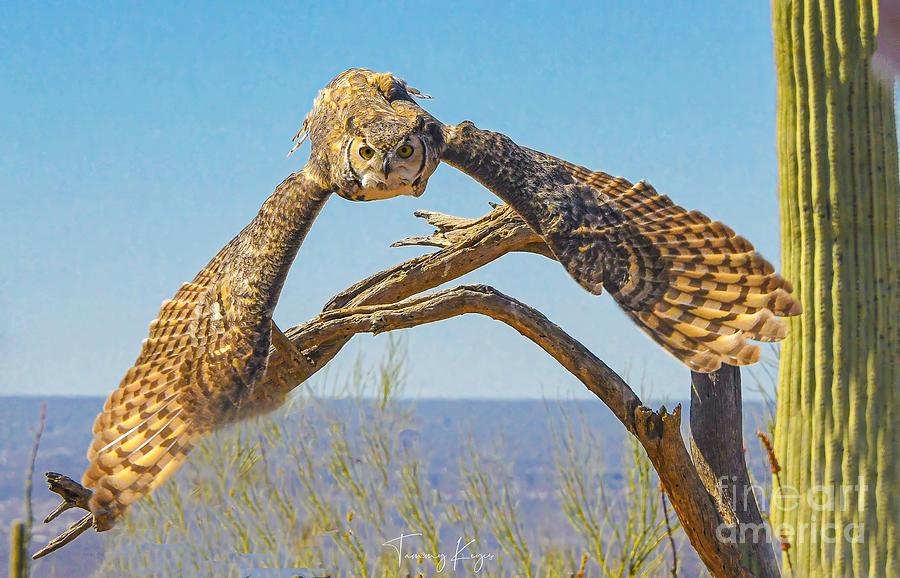 Great Horned Owl #22 Digital Art by Tammy Keyes
