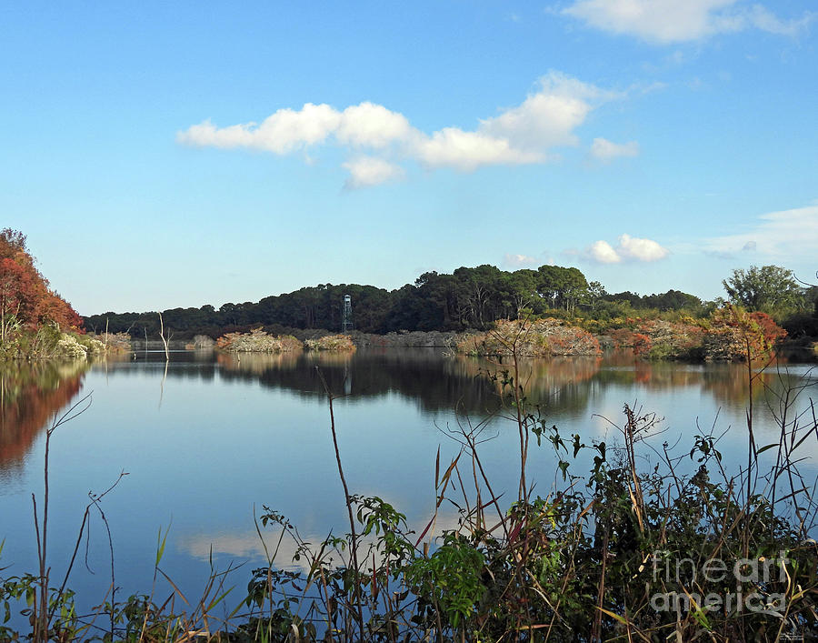 22 Harris Neck NWR Georgia Photograph by Lizi Beard-Ward | Fine Art America