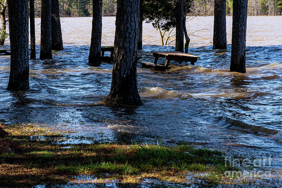 Mistletoe State Park - Appling GA Photograph by The Photourist - Fine ...