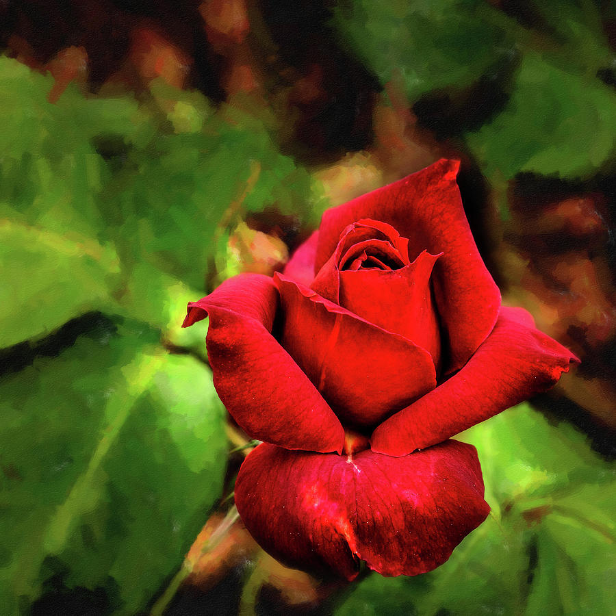 22 2019 3 Digital Painting Hot Cocoa Rose Photograph By M K Miller