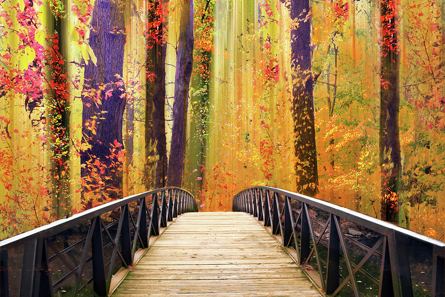 Autumn Woodland Fantasy Photograph by Jessica Jenney