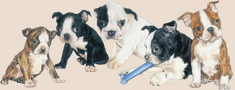 Boston Terrier Puppies Mixed Media by Barbara Keith