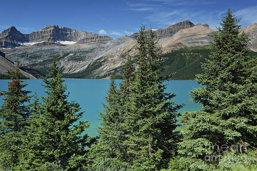 Banff and Jasper National Park #23 Photograph by Steve Javorsky