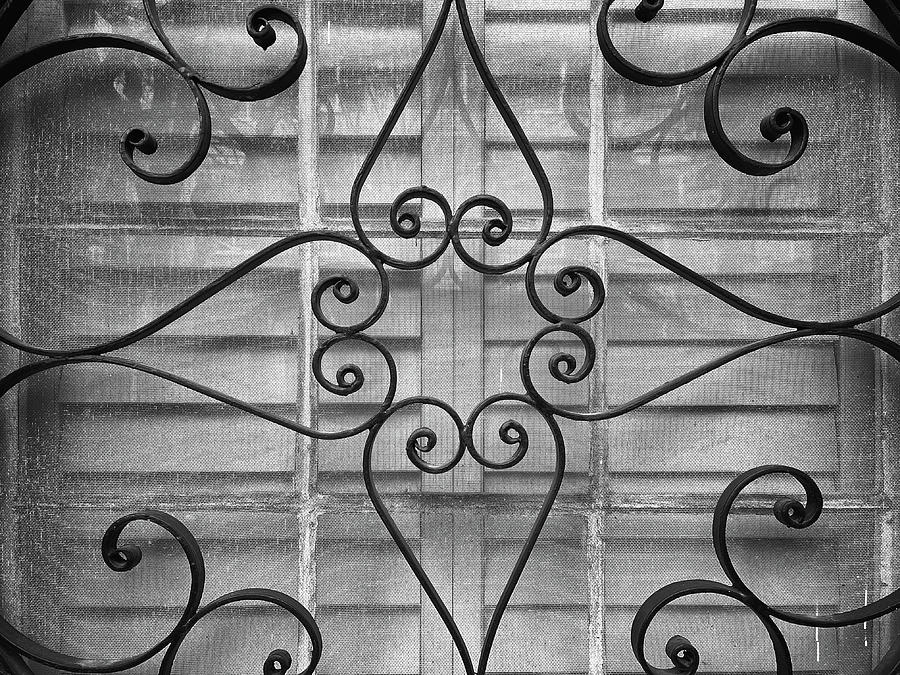 Charleston Wrought Iron Garden Gate in Detail, South Carolina #23 Photograph by Dawna Moore Photography