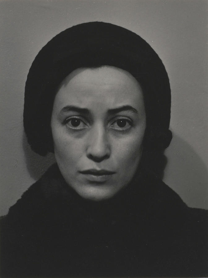 Dorothy Norman Photograph By Alfred Stieglitz - Pixels