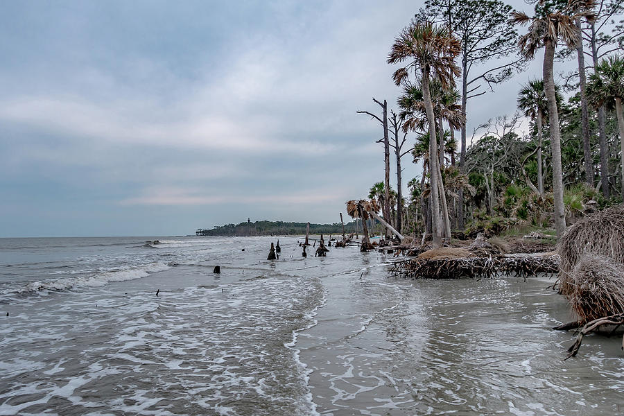 Hunting island south carolina beach scenes #23 Photograph by Alex Grichenko