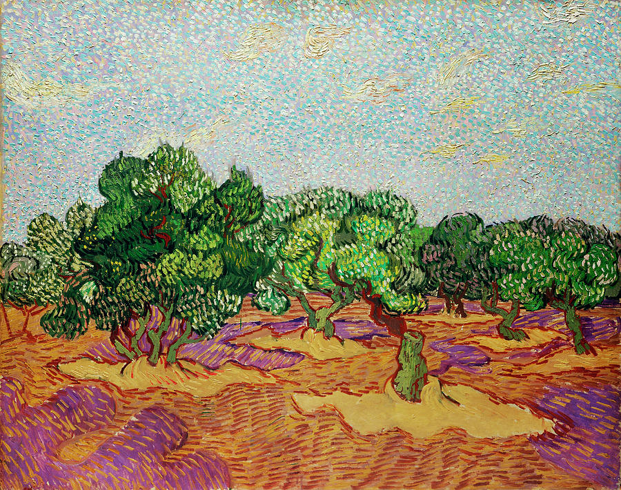 Vincent Van Gogh Painting - Olive Trees #23 by Art Dozen