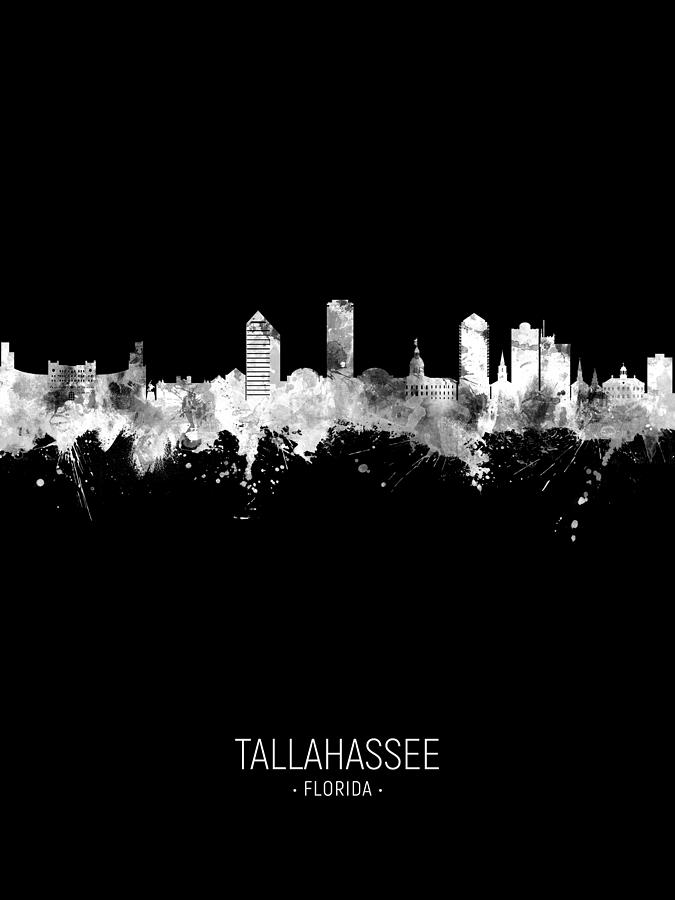Tallahassee Digital Art - Tallahassee Florida Skyline #23 by Michael Tompsett