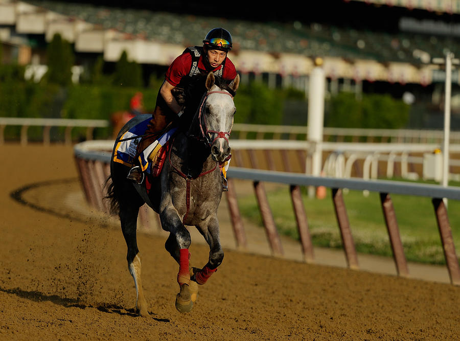 The 148th Belmont Stakes - Previews #23 Photograph by Al Bello