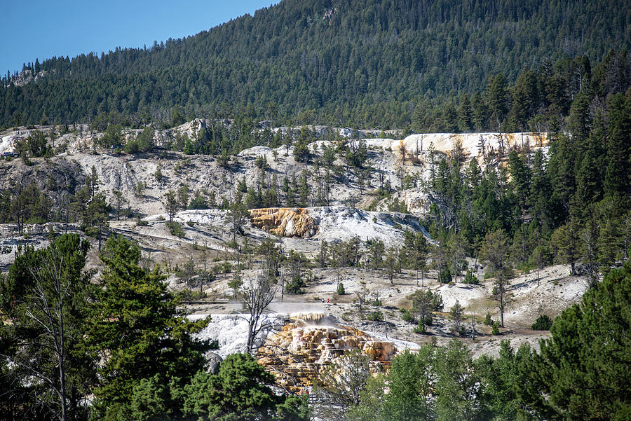 Travertine Terraces, Mammoth Hot Springs, Yellowstone #23 Photograph by Alex Grichenko
