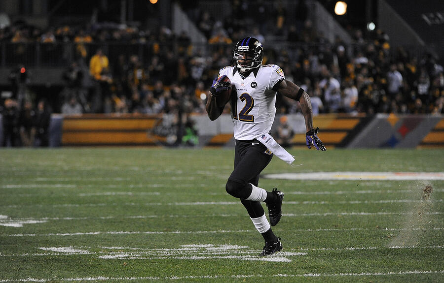 Baltimore Ravens  v Pittsburgh Steelers #230 Photograph by George Gojkovich