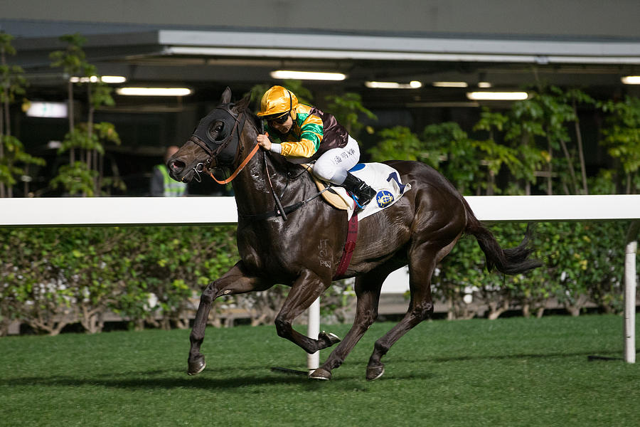 Horse Racing in Hong Kong - Happy Valley Racecourse #235 Photograph by Lo Chun Kit