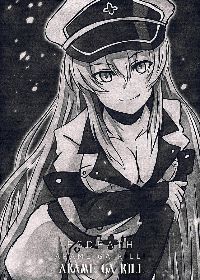 Akame ga Kill #13 Art Print