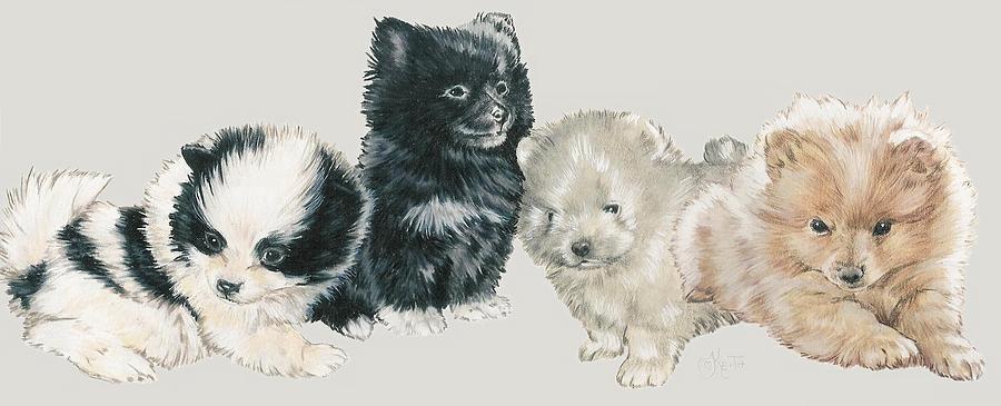 Pomeranian Puppies Mixed Media by Barbara Keith