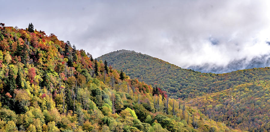 Autumn in the Appalachian Mountains Viewed Along the Blue Ridge  #24 Photograph by Alex Grichenko