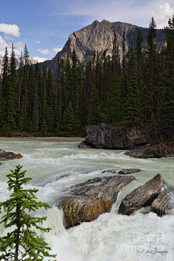 Banff and Jasper National Park #24 Photograph by Steve Javorsky