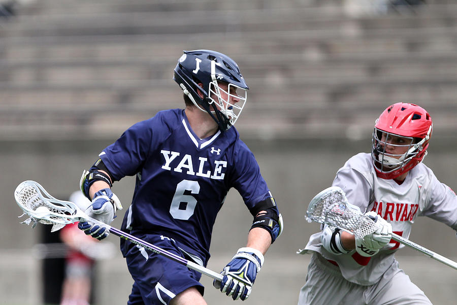 COLLEGE LACROSSE: APR 29 Yale at Harvard #24 Photograph by Icon Sportswire