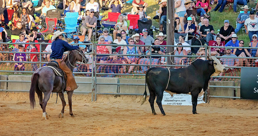 Culpeper Rodeo #24 Photograph by Travis Rogers