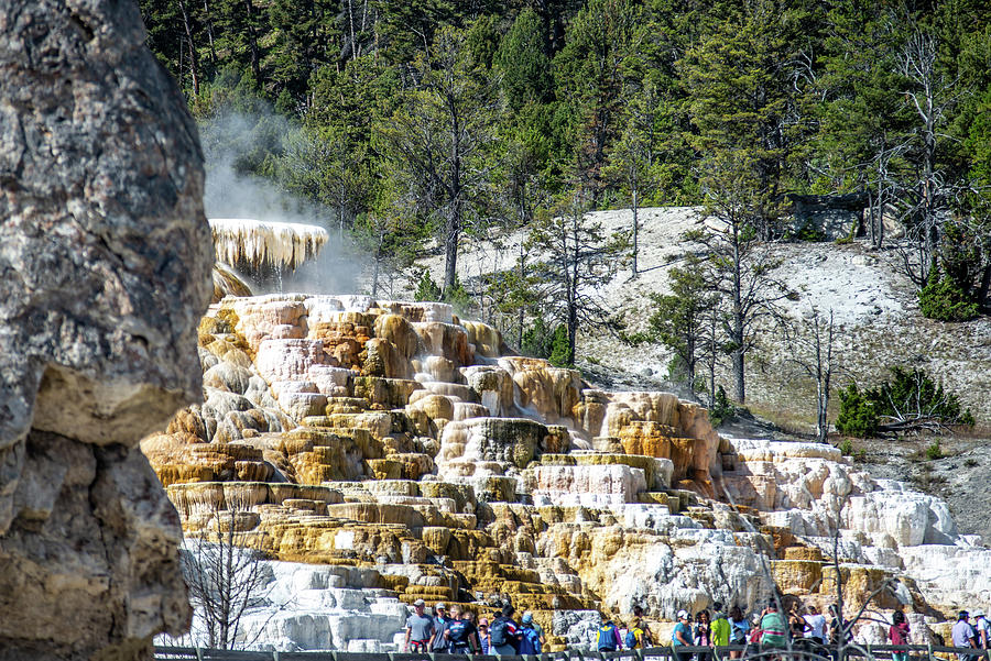 Travertine Terraces, Mammoth Hot Springs, Yellowstone #24 Photograph by Alex Grichenko