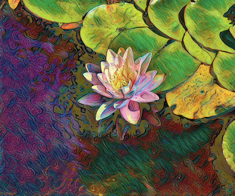24 Water Lily Abstract Digital Art
