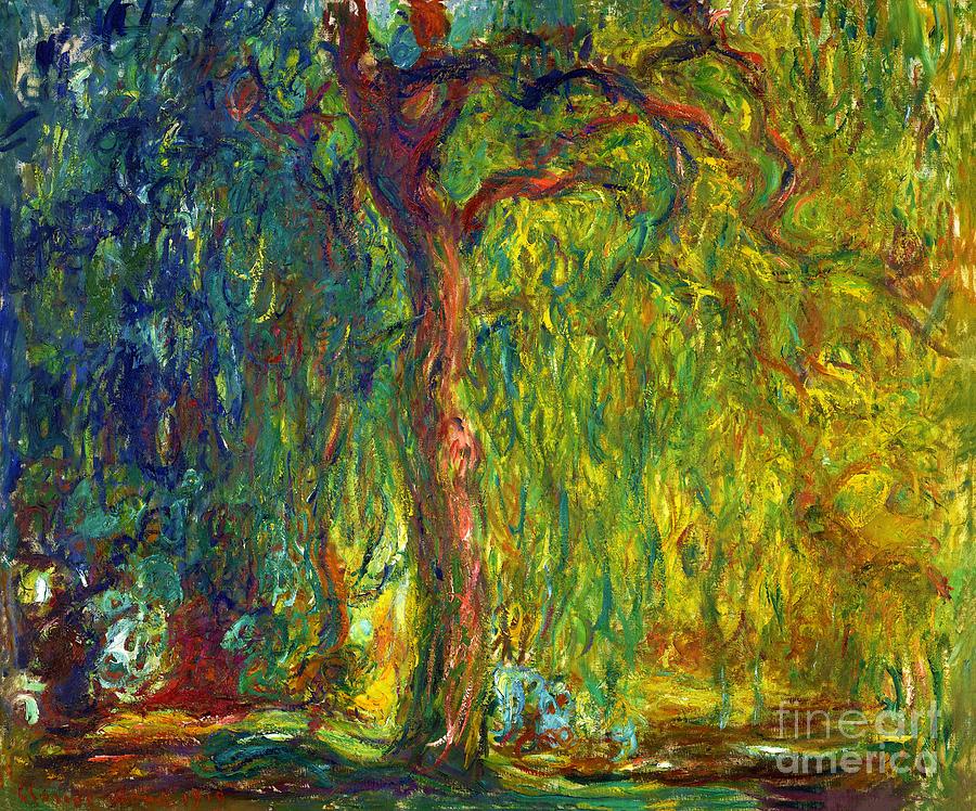 Weeping Willow #24 Painting by Claude Monet