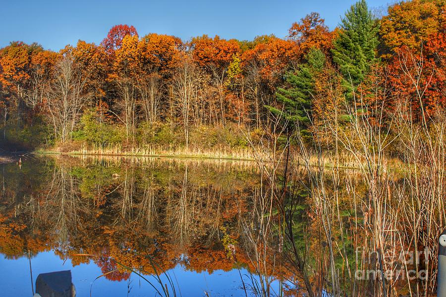 2407 - Reflections Of Fall Photograph