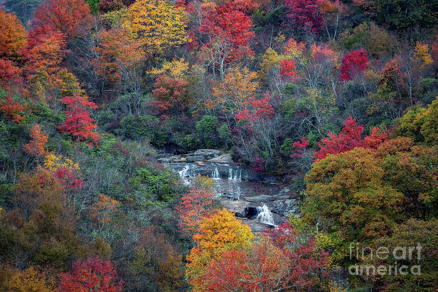 Waterfall Photograph - 2496 Graveyard Fields Upper Falls by Stephen Parker