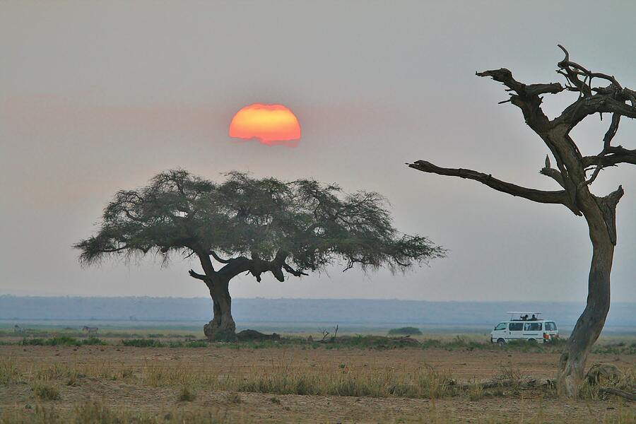 Africa #25 Photograph by John Walsh Africa #25 Photograph by John Walsh