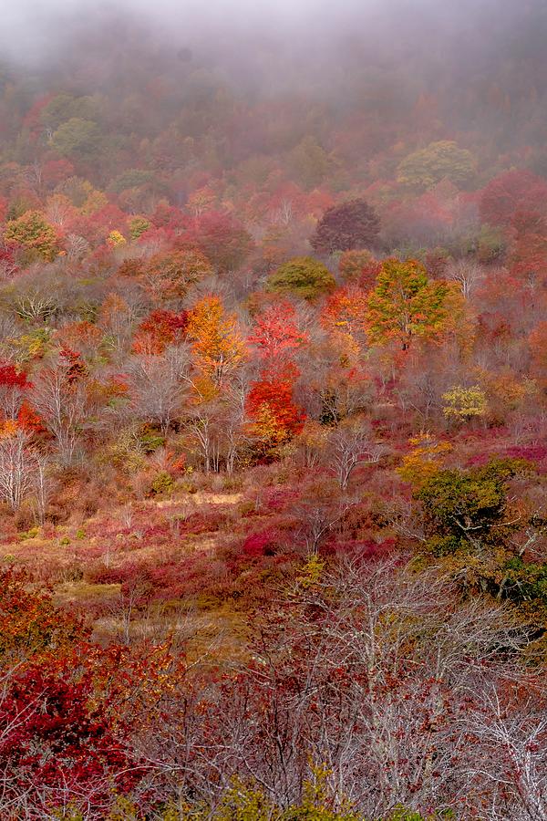 Autumn in the Appalachian Mountains Viewed Along the Blue Ridge  #25 Photograph by Alex Grichenko